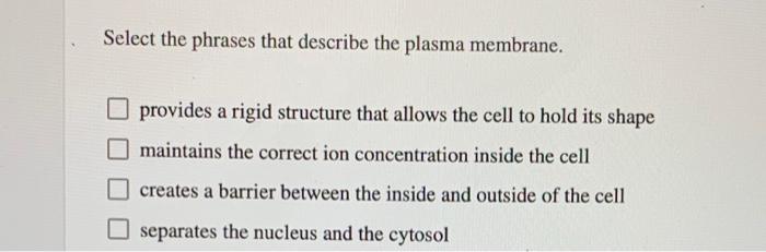 Solved Select the phrases that describe the plasma membrane. | Chegg.com