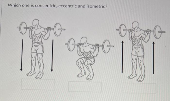 Which one is concentric, eccentric and isometric?
On
G
G
G
