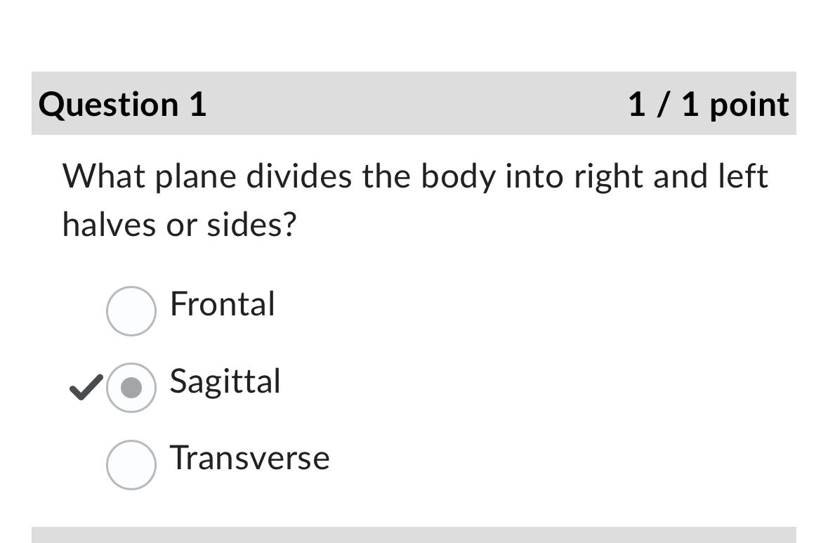 Solved Question 111 ﻿pointWhat plane divides the body into | Chegg.com