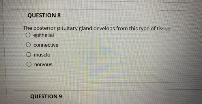 Solved QUESTION3 Name the endocrine gland indicated as A | Chegg.com