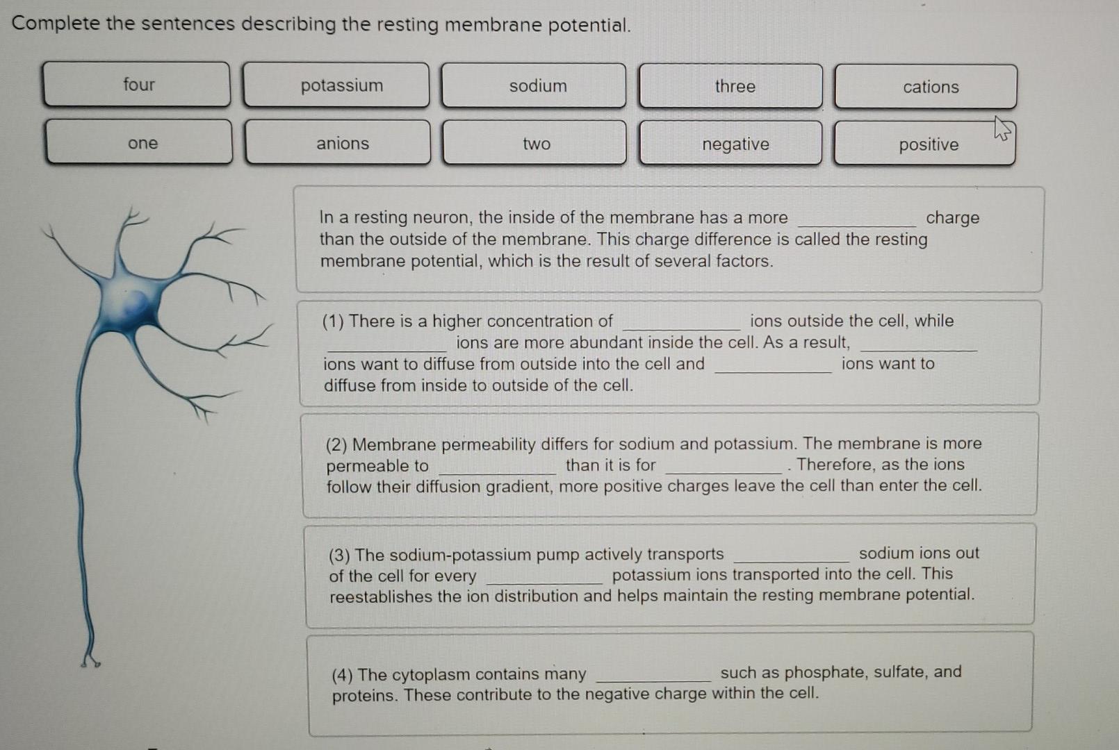 Solved Complete the sentences describing the resting