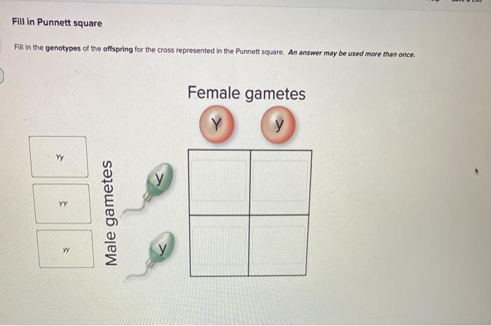 Solved Fill in Punnett square Fill in the genotypes of the | Chegg.com