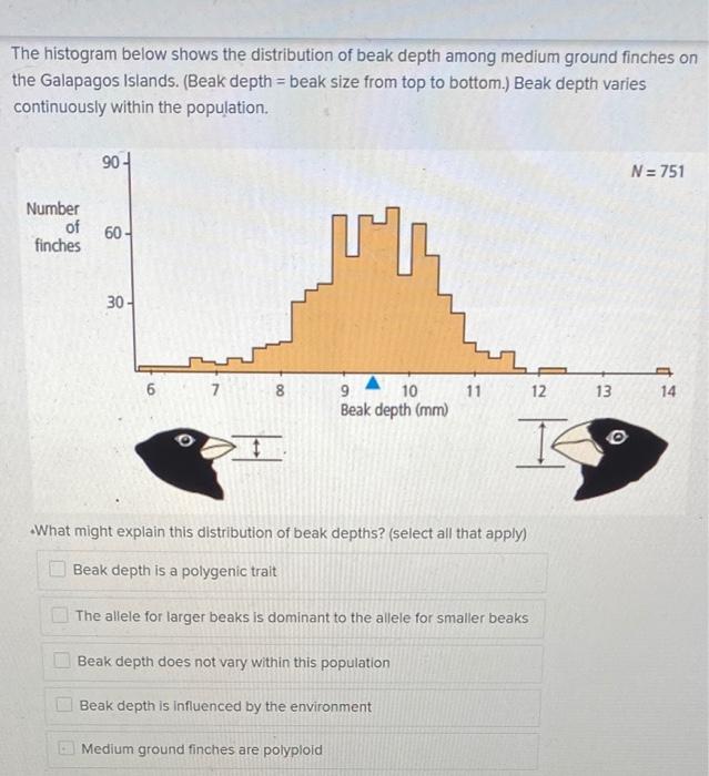 Solved The histogram below shows the distribution of beak | Chegg.com