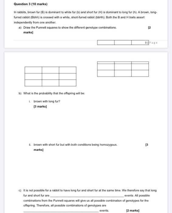 Question 3 (10 marks) In rabbits, brown fur (B) is | Chegg.com