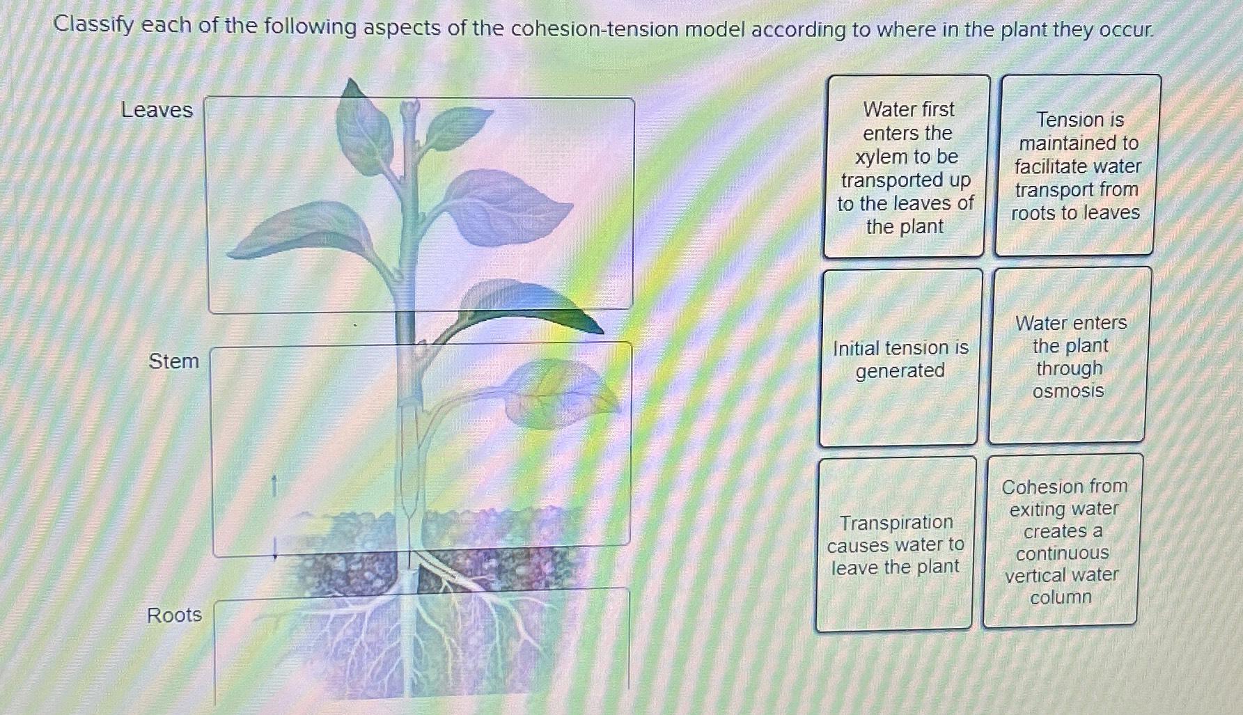 Solved Classify each of the following aspects of the | Chegg.com
