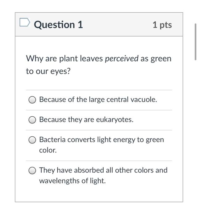 Solved Question 1 1 pts Why are plant leaves perceived as