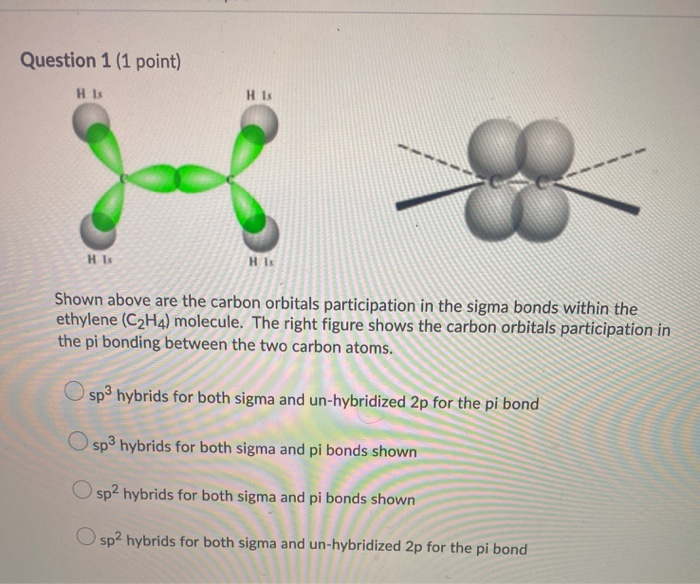 Solved Question 1 1 point HI Shown above are the carbon Chegg