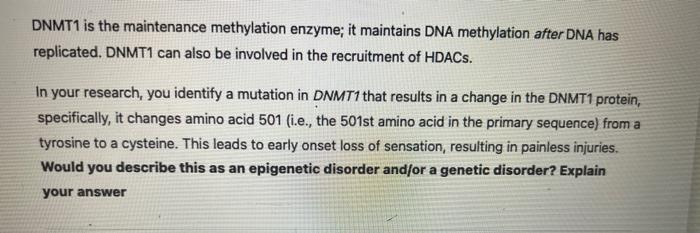 DNMT1 is the maintenance methylation enzyme; it maintains DNA methylation after DNA has replicated. DNMT1 can also be involve