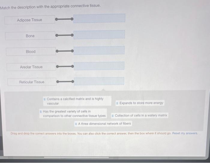 Solved Match the description with the appropriate connective | Chegg.com