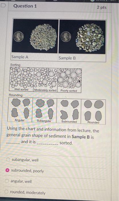 Solved Question 1 2 pts Rounding: Using the chart and | Chegg.com