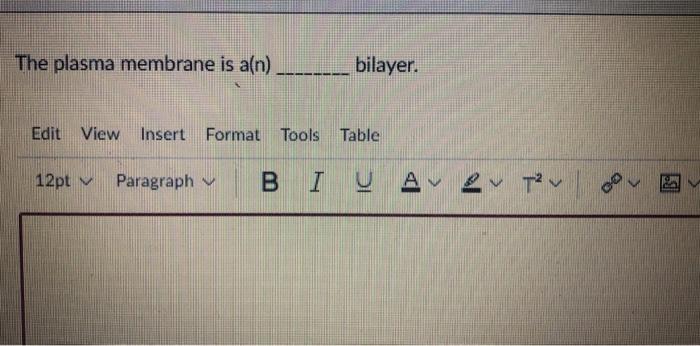 Solved The plasma membrane is a(n) bilayer. | Chegg.com