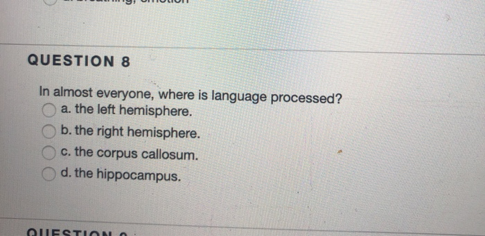 Solved 19 ORIOLI QUESTION 8 In almost everyone, where is | Chegg.com