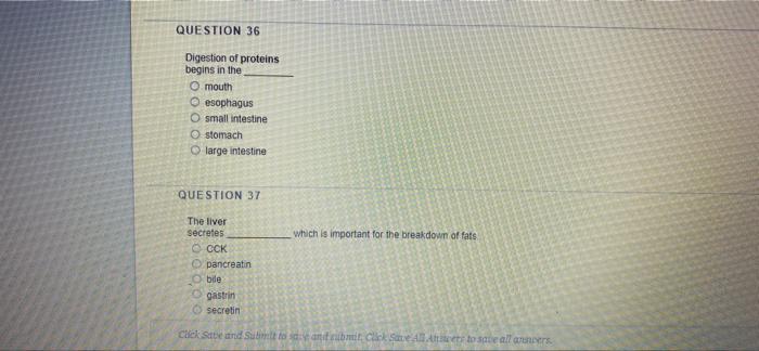 Solved QUESTION 38 Acid chyme is buffered by O mucus O | Chegg.com