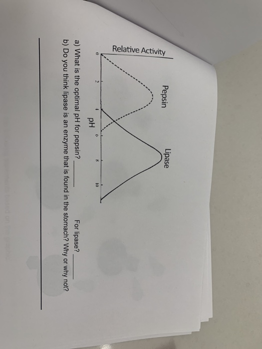 Solved Pepsin Lipase Relative Activity рн a) What is the