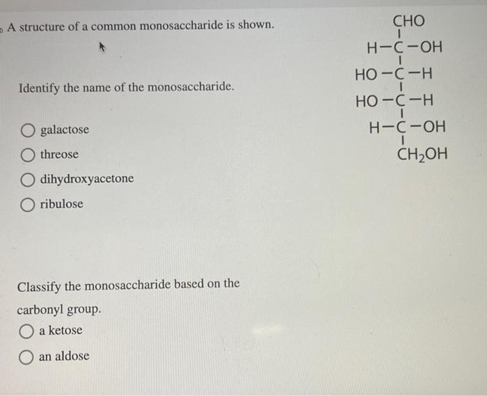 A structure of a common monosaccharide is shown.
Identify the name of the monosaccharide.
galactose
threose
dihydroxyacetone
