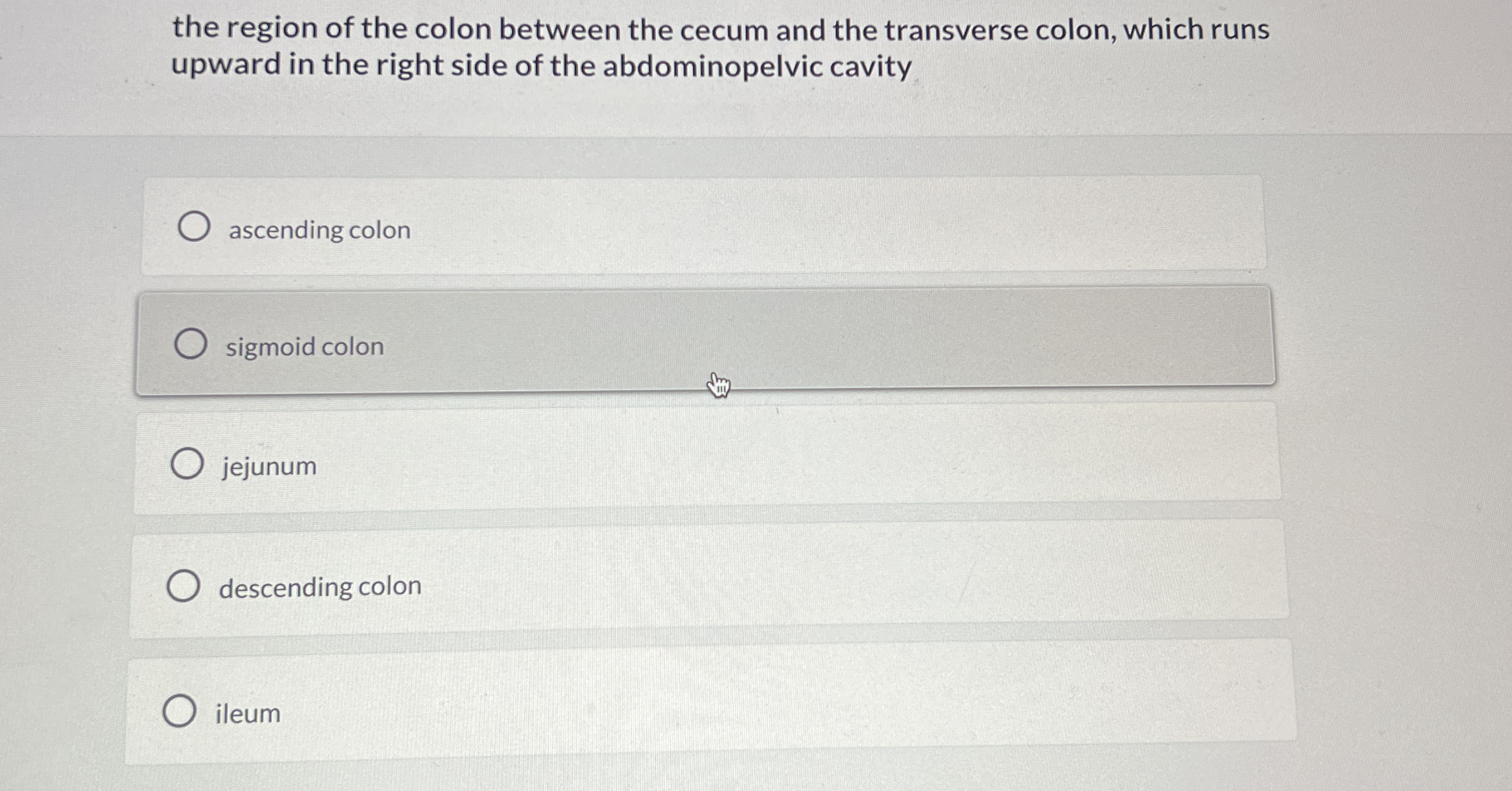 Solved the region of the colon between the cecum and the | Chegg.com