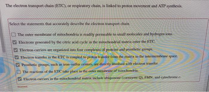 Solved The electron transport chain (ETC), or respiratory | Chegg.com