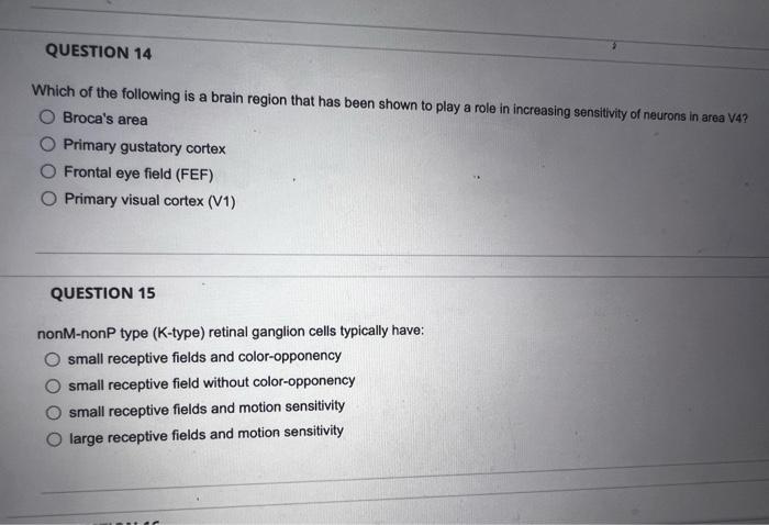 Which Brain Region Is Believed to Play a Critical Role in Memory-Brain Science Breakdown