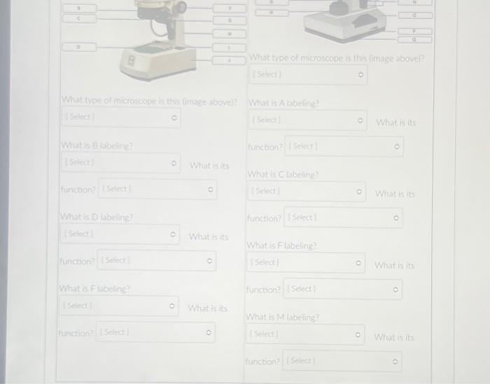 Solved Based on the directions in Appendix D on how to use a | Chegg.com