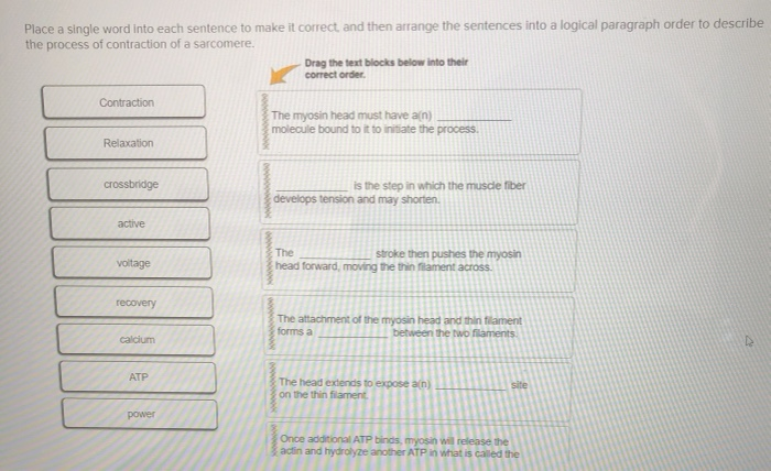 Solved Place a single word into each sentence to make it | Chegg.com