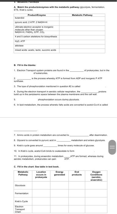 Solved way A. Match the products/enzymes with the metabolic | Chegg.com