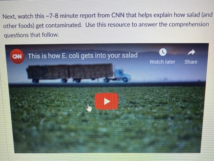 Next, watch this -7-8 minute report from CNN that helps explain how salad (and other foods) get contaminated. Use this resour