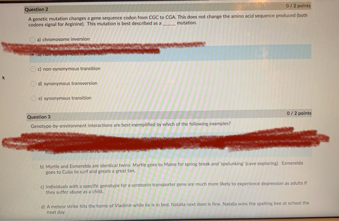 Solved Question 2 0/2 points A genetic mutation changes a | Chegg.com