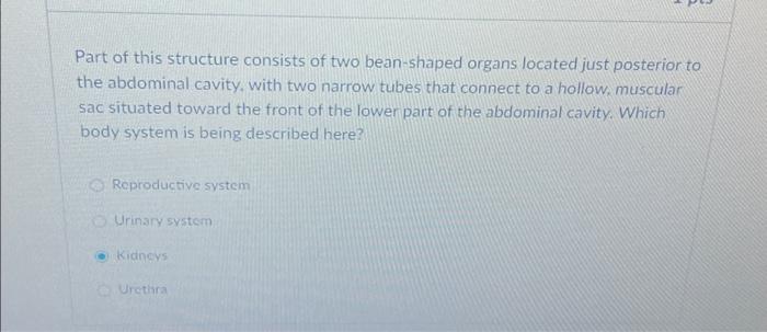 Solved Part of this structure consists of two bean-shaped | Chegg.com