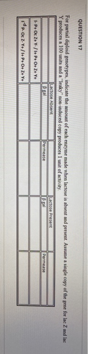Solved For the following lac operon partial diploid | Chegg.com