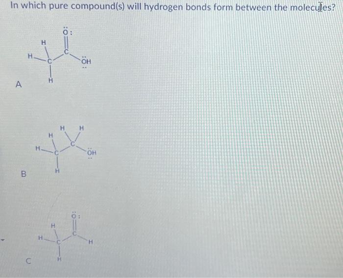 Solved In Which Pure Compounds Will Hydrogen Bonds Form | Chegg.com