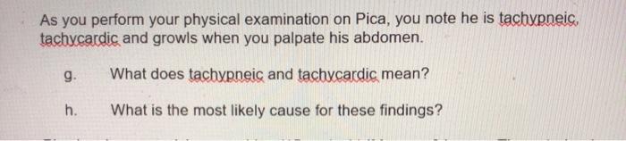 As you perform your physical examination on Pica, you note he is tachypneis, tachycardis and growls when you palpate his abdo