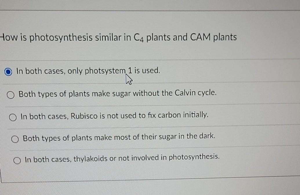 Solved How is photosynthesis similar in C4 plants and CAM | Chegg.com