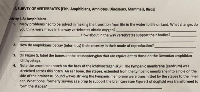 Solved A SURVEY OF VERTEBRATES (Fish, Amphibians, Amniotes, | Chegg.com