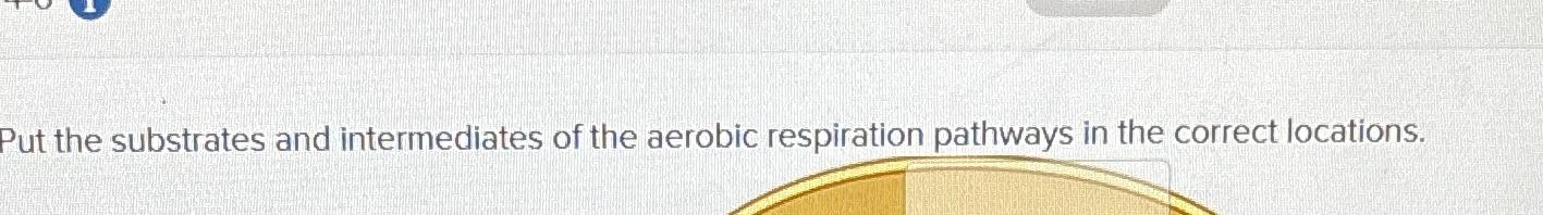 Solved Put the substrates and intermediates of the aerobic | Chegg.com
