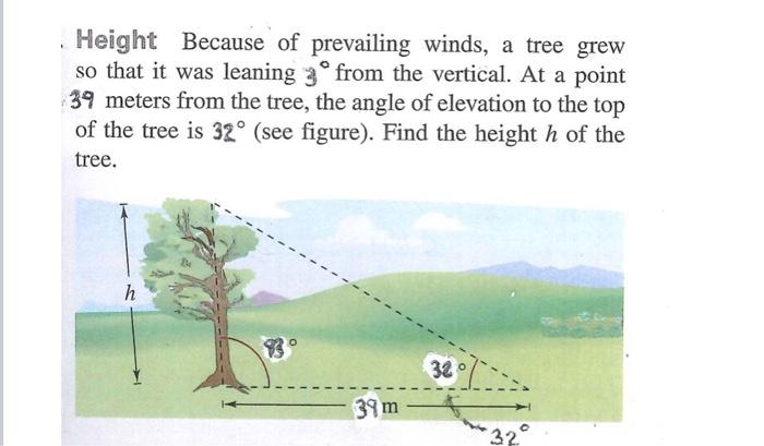 Solved Height Because of prevailing winds, a tree grew so | Chegg.com