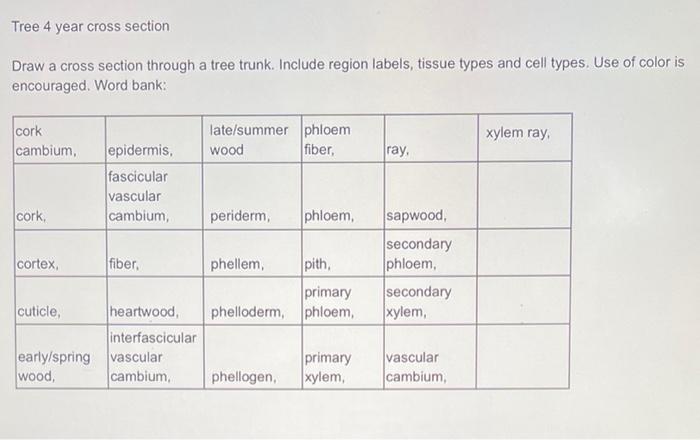 Solved Tree 4 year cross section Draw a cross section | Chegg.com