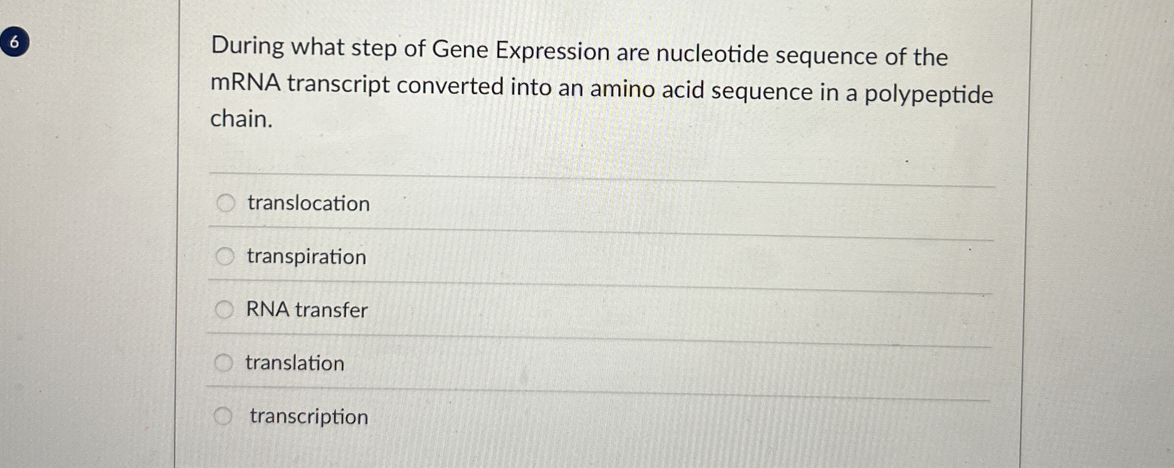 6During what step of Gene Expression are nucleotide