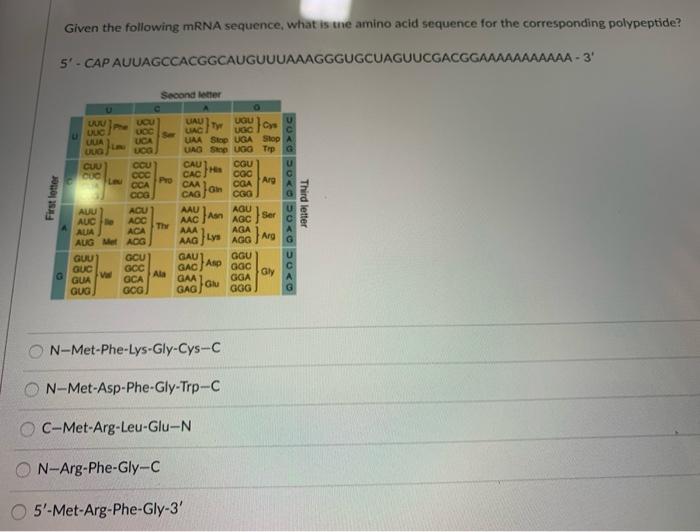 Solved Given the following mRNA sequence, what is the amino | Chegg.com