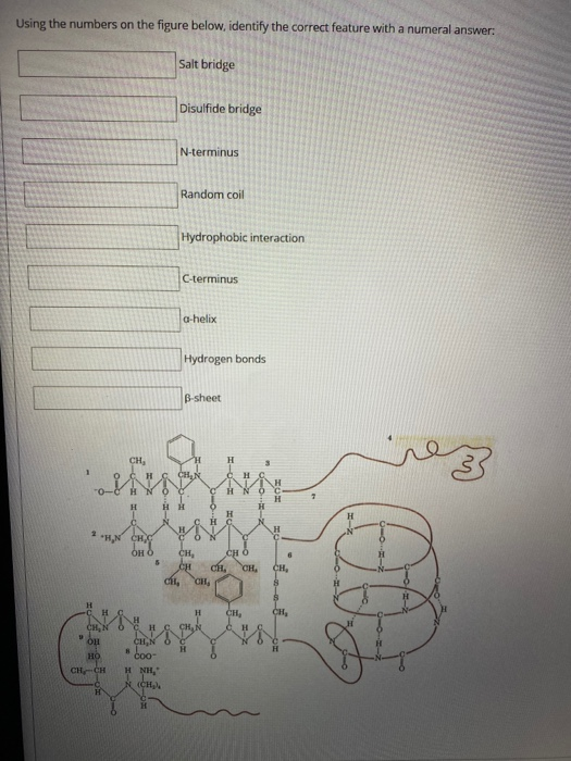 Solved Using the numbers on the figure below, identify the | Chegg.com
