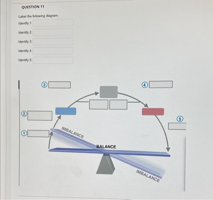 Solved Label the following diagram. Identify 1 Identify 2 | Chegg.com