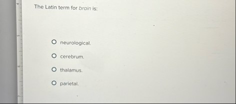 Solved The Latin term for brain | Chegg.com