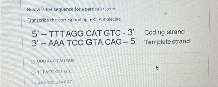 Solved Below is the sequence for a particular gene. | Chegg.com