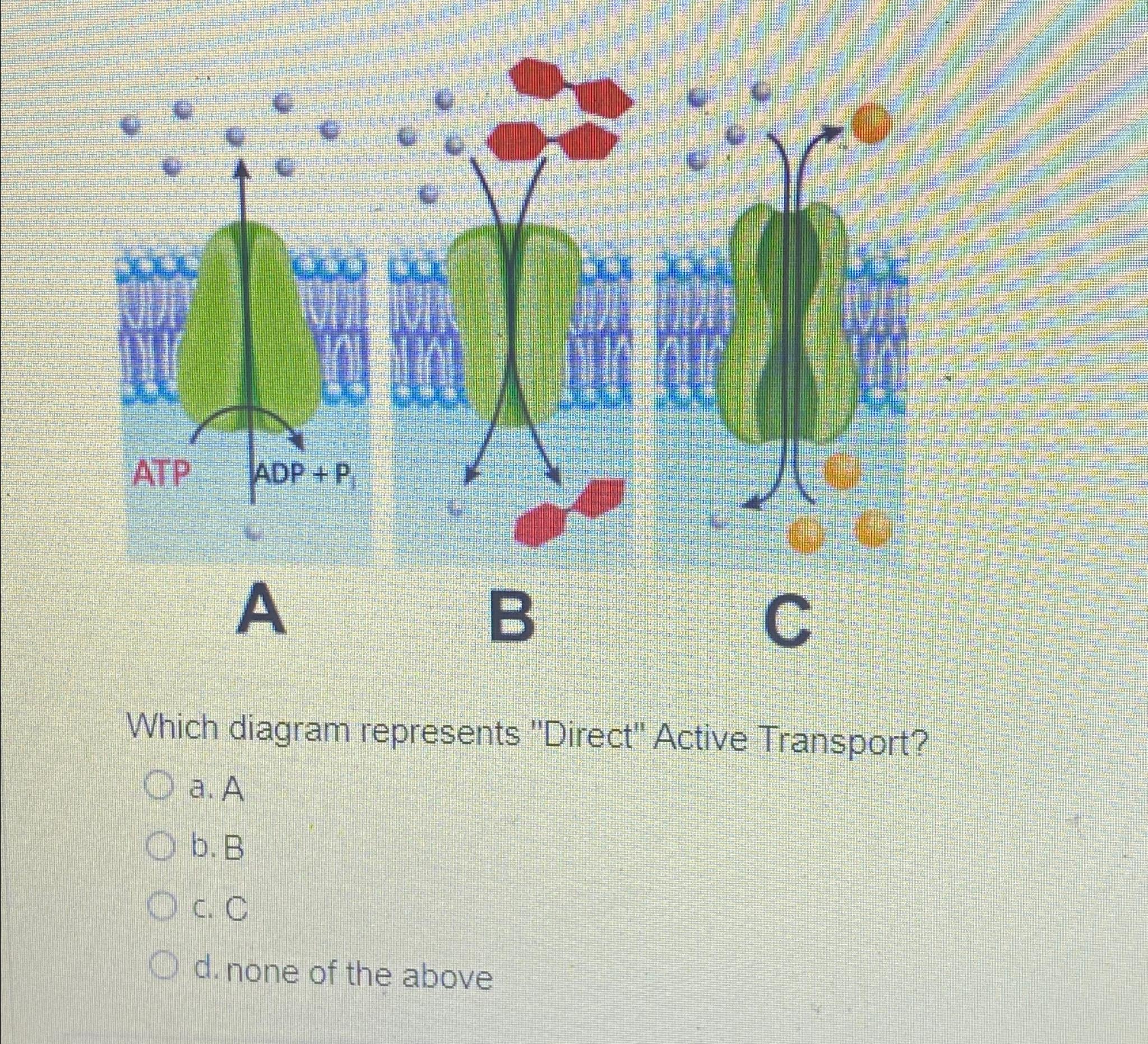 ABCWhich diagram represents "Direct" Active