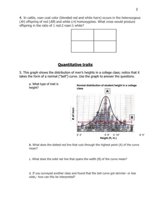 Solved 4. In cattle, roan coat color (blended red and white