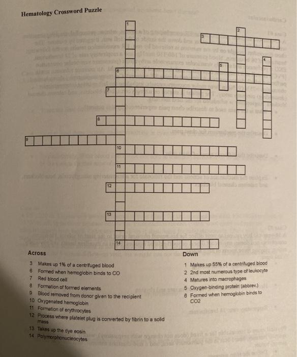 Solved Hematology Crossword Puzzle 10 12 13 Down Across 3 Chegg com