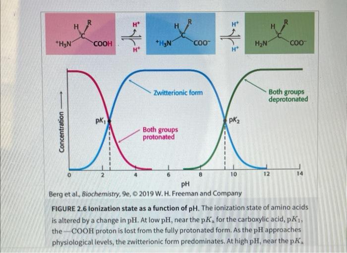 Solved 8) I find Figure 2.6 a bit hard to truly understand | Chegg.com