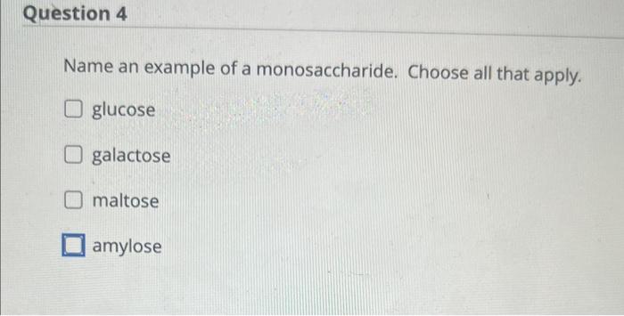 what are some functions of proteins choose all that apply. quizlet