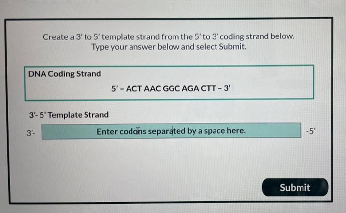 Solved Create a 3' to 5'template strand from the 5' to 3' | Chegg.com