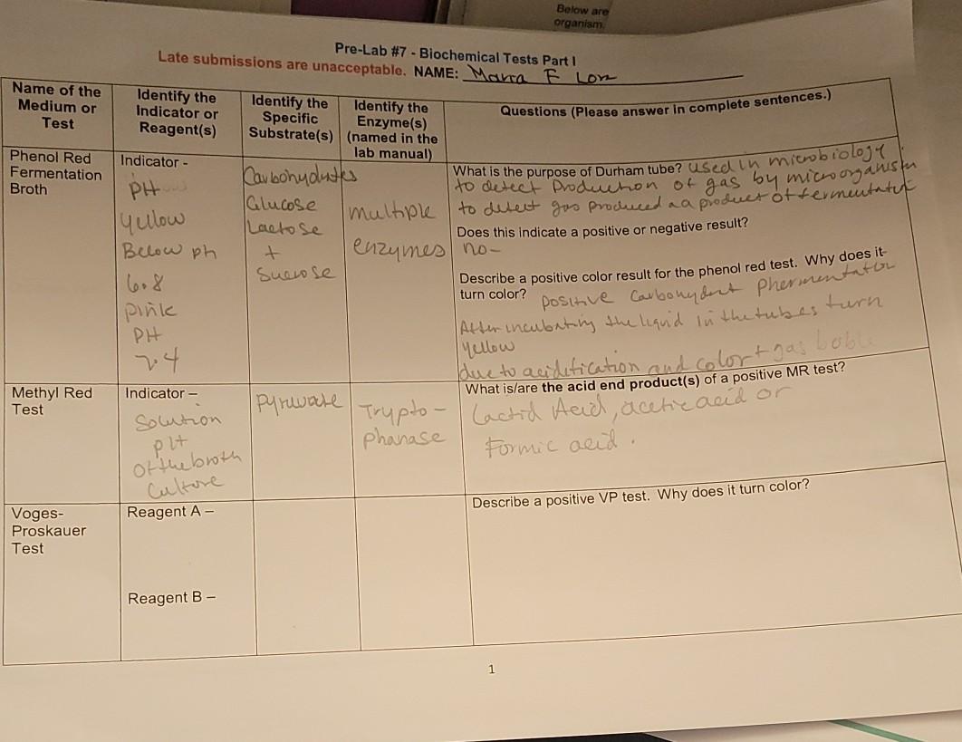 Below are organism Pre-Lab #7 - Biochemical Tests | Chegg.com