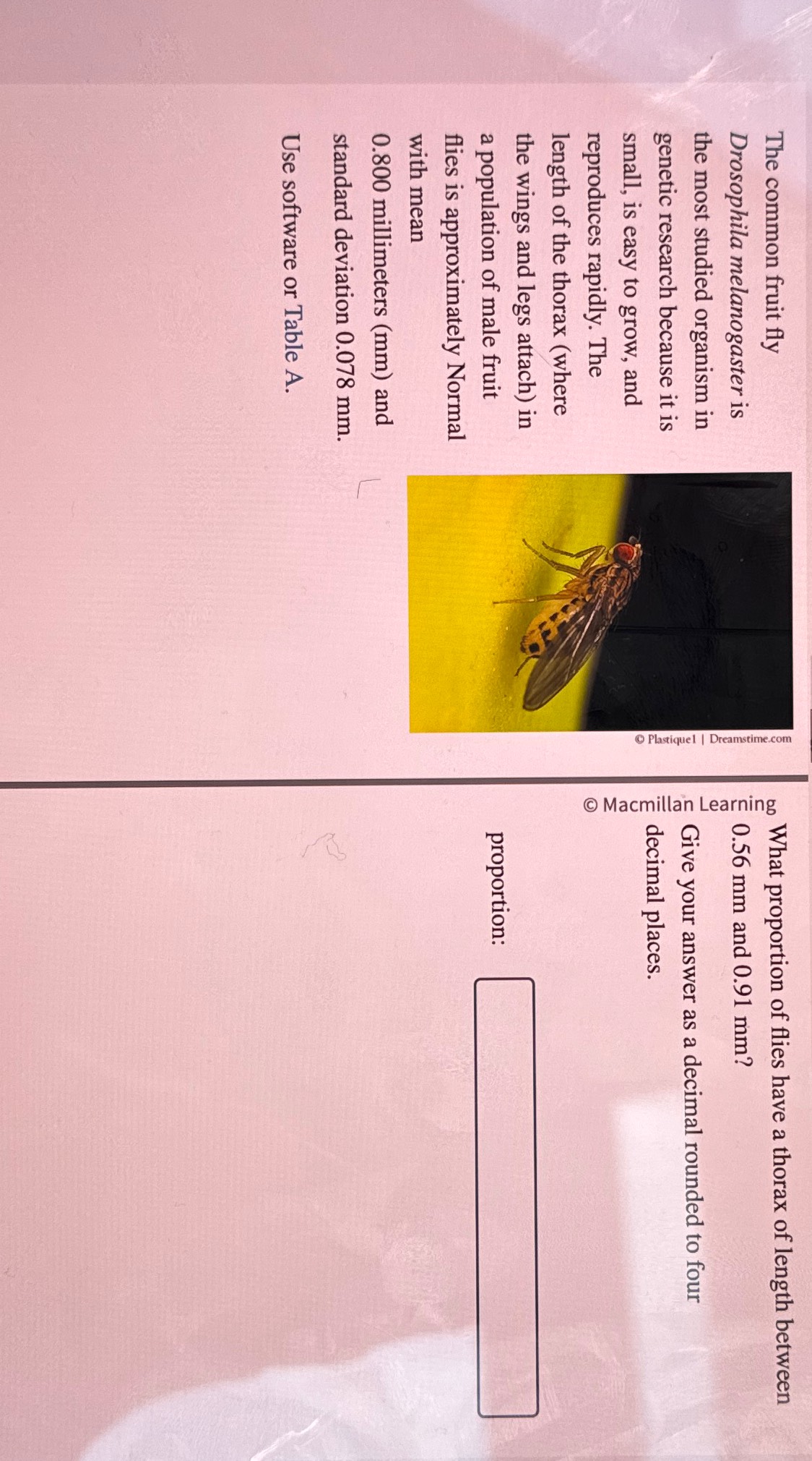 Solved The common fruit fly Drosophila melanogaster is the | Chegg.com